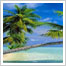 Rajasthan Tour Package