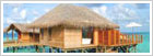 Maldive