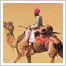 Rajasthan Tour Package