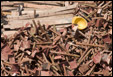 Metal Scrap