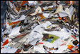 Recovered Secondary Fiber/waste paper