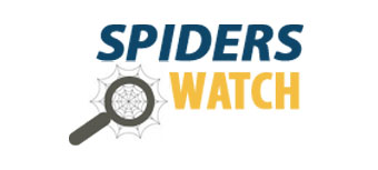 Spider Watch